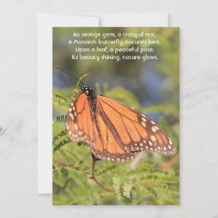 Cartes Pour Fêtes Annuelles Un moment de sérénité : Le papillon monarque orang
