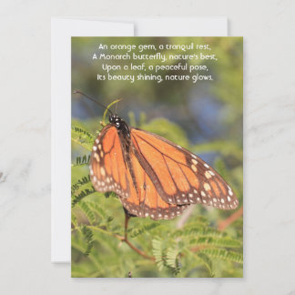 Cartes Pour Fêtes Annuelles Un moment de sérénité : Le papillon monarque orang
