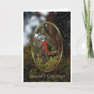 Cartes Pour Fêtes Annuelles Un Noël australien