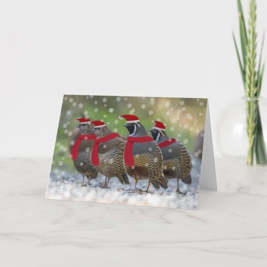 Cartes Pour Fêtes Annuelles Un Noël de caille (Devant)