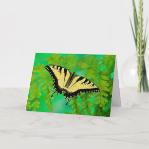 Cartes Pour Fêtes Annuelles Un papillon swallowtail atterrissant
