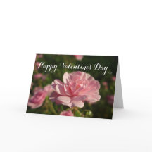 Un rose pour un heureuse Sainte-Valentin rose