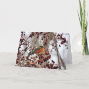 Cartes Pour Fêtes Annuelles Un rouge-gorge accueillant la saison hivernale