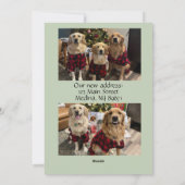 Cartes Pour Fêtes Annuelles Une Nouvelle Maison Pour Les Fêtes (Dos)