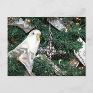 Cartes Pour Fêtes Annuelles Une perruque dans un arbre de Noël