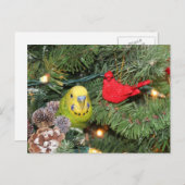 Cartes Pour Fêtes Annuelles Une perruque dans un arbre de Noël (Devant / Derrière)