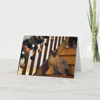 Cartes Pour Fêtes Annuelles Vacances 2 siamois