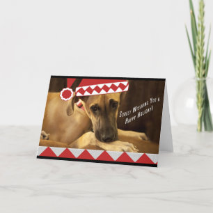 Cartes Pour Fêtes Annuelles Vacances de Danois