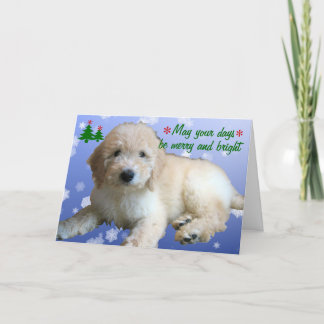 Cartes Pour Fêtes Annuelles Vacances d'or blanches de Noël de griffonnage