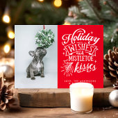 Cartes Pour Fêtes Annuelles Vacances Et Mistletoe Baisers Pet Chien Photo