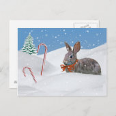 Cartes Pour Fêtes Annuelles Vacances, Lapin Lapin en Neige (Devant / Derrière)