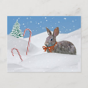 Cartes Pour Fêtes Annuelles Vacances, Lapin Lapin en Neige