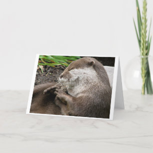 Cartes Pour Fêtes Annuelles vacances Loutre-LY extraordinaires