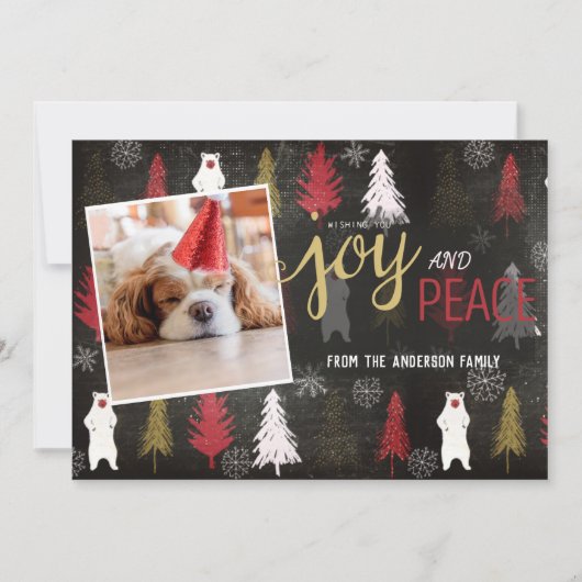 Cartes Pour Fêtes Annuelles Vacances photo modernes (Devant)