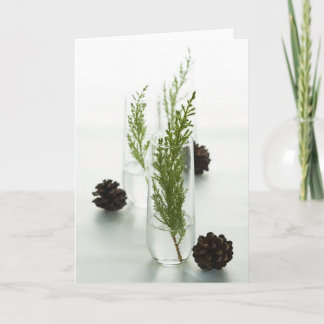 Cartes Pour Fêtes Annuelles Vacances vertes