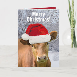 Cartes Pour Fêtes Annuelles Vache à Santa Hat - Joyeux Noël, Bonne Année Moo