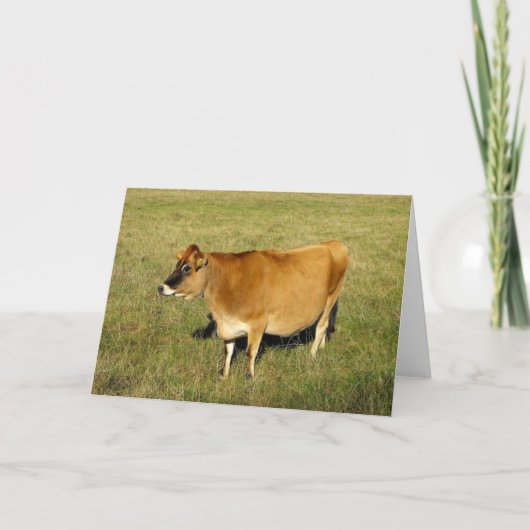 Cartes Pour Fêtes Annuelles Vache Jersey à Saint-Jean (Devant)