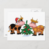 Cartes Pour Fêtes Annuelles Vaches de Noël (Devant / Derrière)