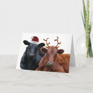 Cartes Pour Fêtes Annuelles Vaches de Noël à Santa Hat et Antlers