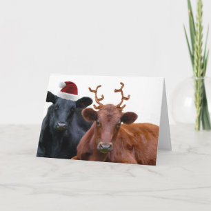Cartes Pour Fêtes Annuelles Vaches de Noël à Santa Hat et Antlers