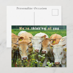 Cartes Pour Fêtes Annuelles Vaches de pâturage pensant à vous Salutations rust