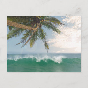 Cartes Pour Fêtes Annuelles Vague de l'océan tropical et cocotier