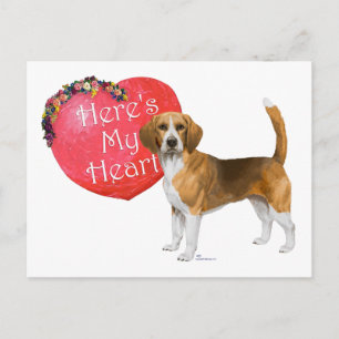 Cartes Pour Fêtes Annuelles Valentin Beagle