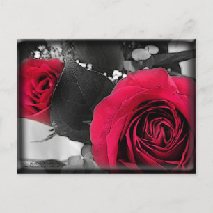 Cartes Pour Fêtes Annuelles Valentine