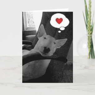 Cartes Pour Fêtes Annuelles valentine anglais de bull-terrier