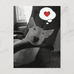 Cartes Pour Fêtes Annuelles valentine anglais de bull-terrier
