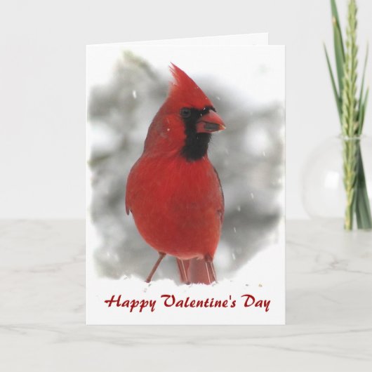 Cartes Pour Fêtes Annuelles Valentine cardinal (Devant)
