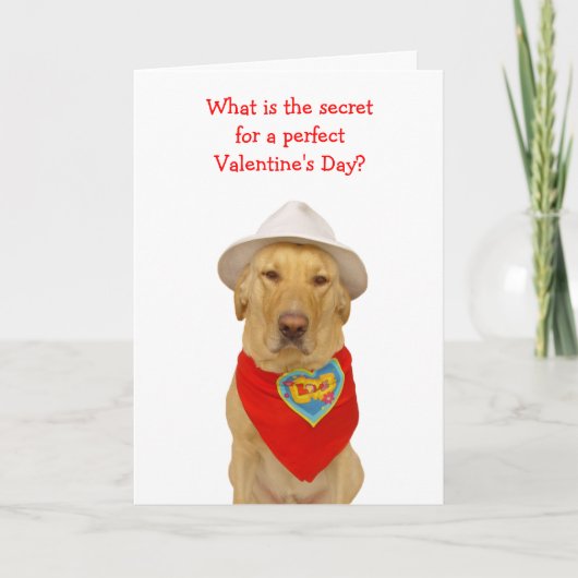 Cartes Pour Fêtes Annuelles Valentine de Funny (Devant)