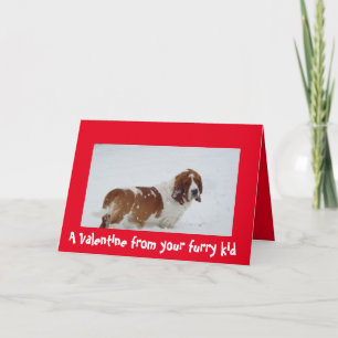 Cartes Pour Fêtes Annuelles Valentine du chien avec Basset Hound