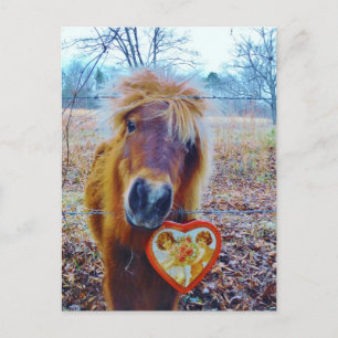 Cartes Pour Fêtes Annuelles Valentine Heart Horse