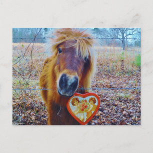 Cartes Pour Fêtes Annuelles Valentine Heart Horse
