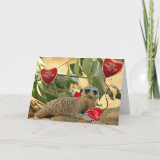 Cartes Pour Fêtes Annuelles Valentine Meerkat