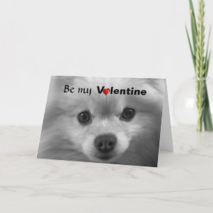Cartes Pour Fêtes Annuelles Valentine Pomeranian avec de grands yeux mignons