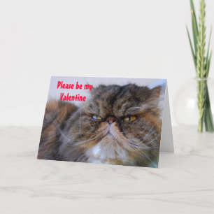 Cartes Pour Fêtes Annuelles Valentine Romantique Calico Persian Kitty Card