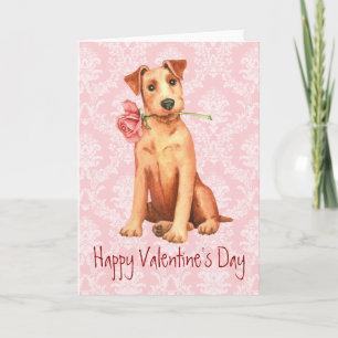 Cartes Pour Fêtes Annuelles Valentine Rose Irish Terrier