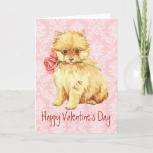 Cartes Pour Fêtes Annuelles Valentine Rose Pomeranian