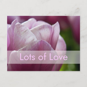 Cartes Pour Fêtes Annuelles Valentine Tulipes