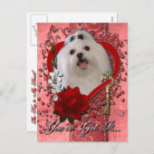 Cartes Pour Fêtes Annuelles Valentines (Devant / Derrière)