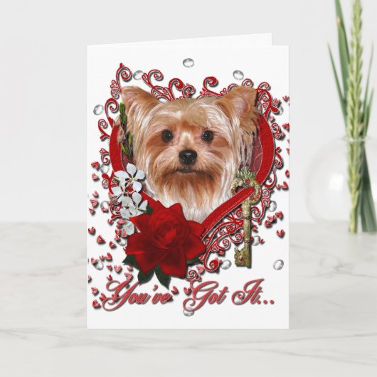 Cartes Pour Fêtes Annuelles Valentines - clé à mon coeur - Yorkshire Terrier (Devant)