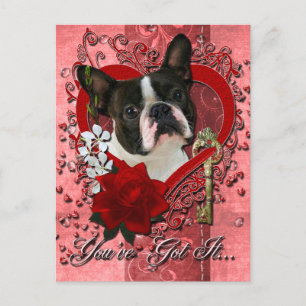 Cartes Pour Fêtes Annuelles Valentines - Clé de mon coeur - Boston Terrier