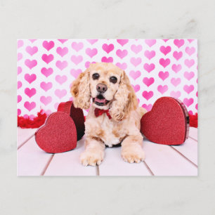 Cartes Pour Fêtes Annuelles Valentines - Cocker Spaniel - Duc
