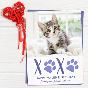 Cartes Pour Fêtes Annuelles Valentines Day Cute Cat Pet Photo Holiday Card