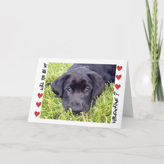 Cartes Pour Fêtes Annuelles Valentine's Day Labrador (Devant)