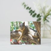 Cartes Pour Fêtes Annuelles Valentines heureux Day_Postcard (Debout devant)