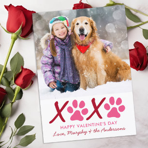 Cartes Pour Fêtes Annuelles Valentines Jour XOXO Chien Chien Moderne Photo Ani