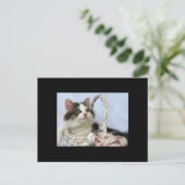 Cartes Pour Fêtes Annuelles Valentine's Kitten (Debout devant)